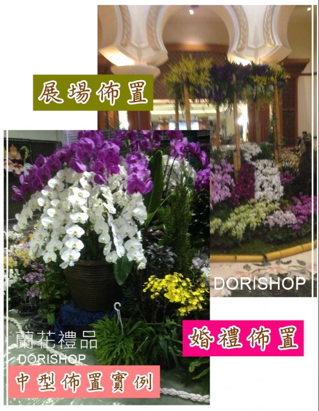 蘭藝展覽佈置 2